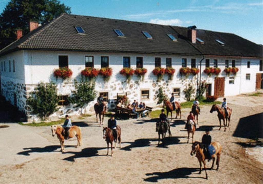 Вилла Reiterhof Stoeglehner Райнбах-им-Мюлькрайс Экстерьер фото